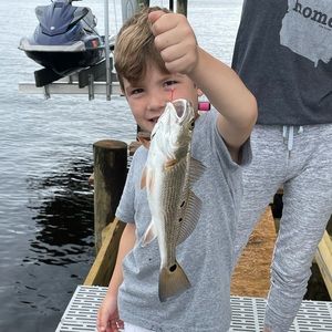 Meet your Posher, Andrea